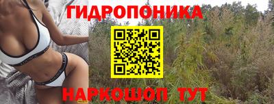mix Новозыбков